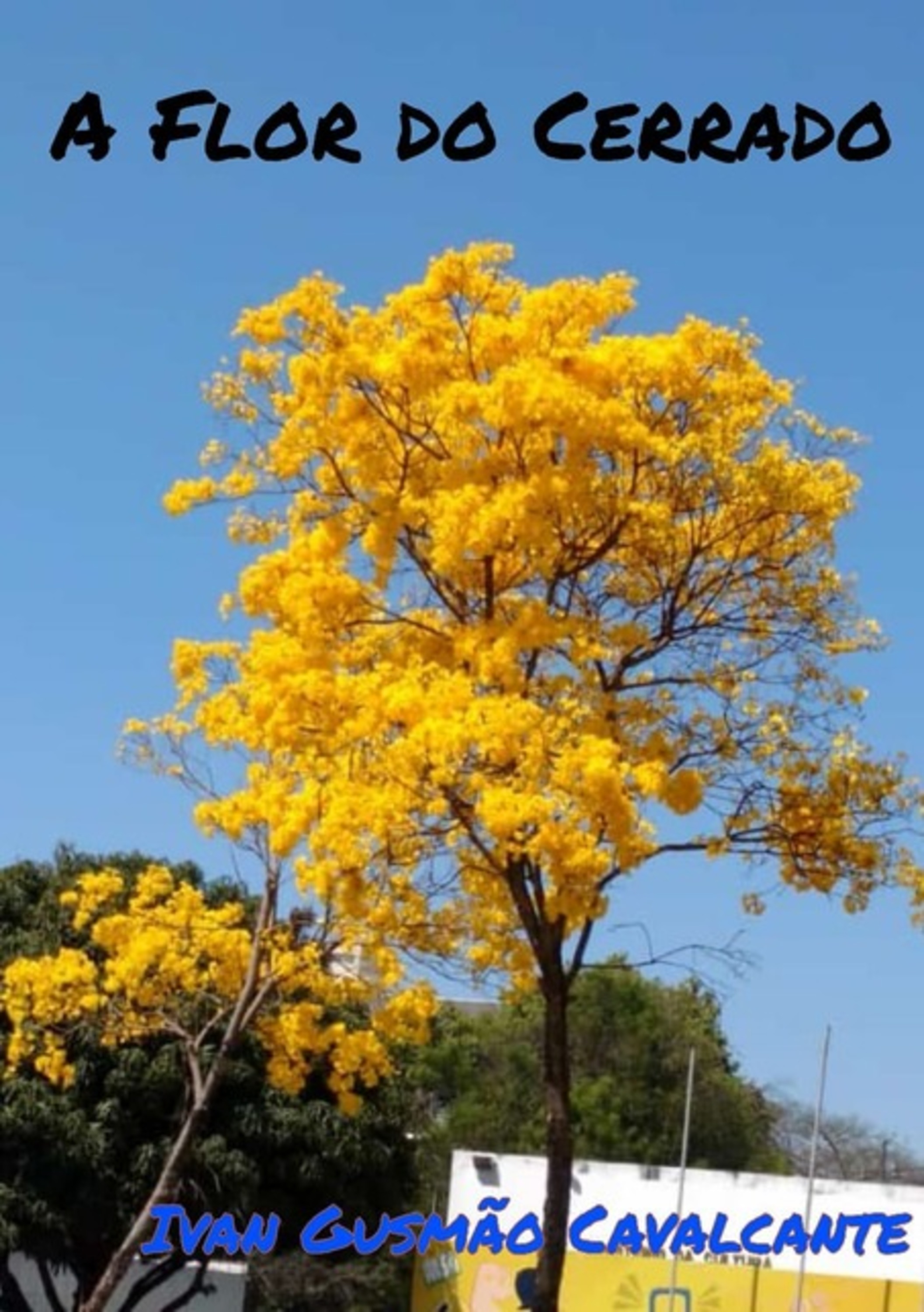 A Flor Do Cerrado