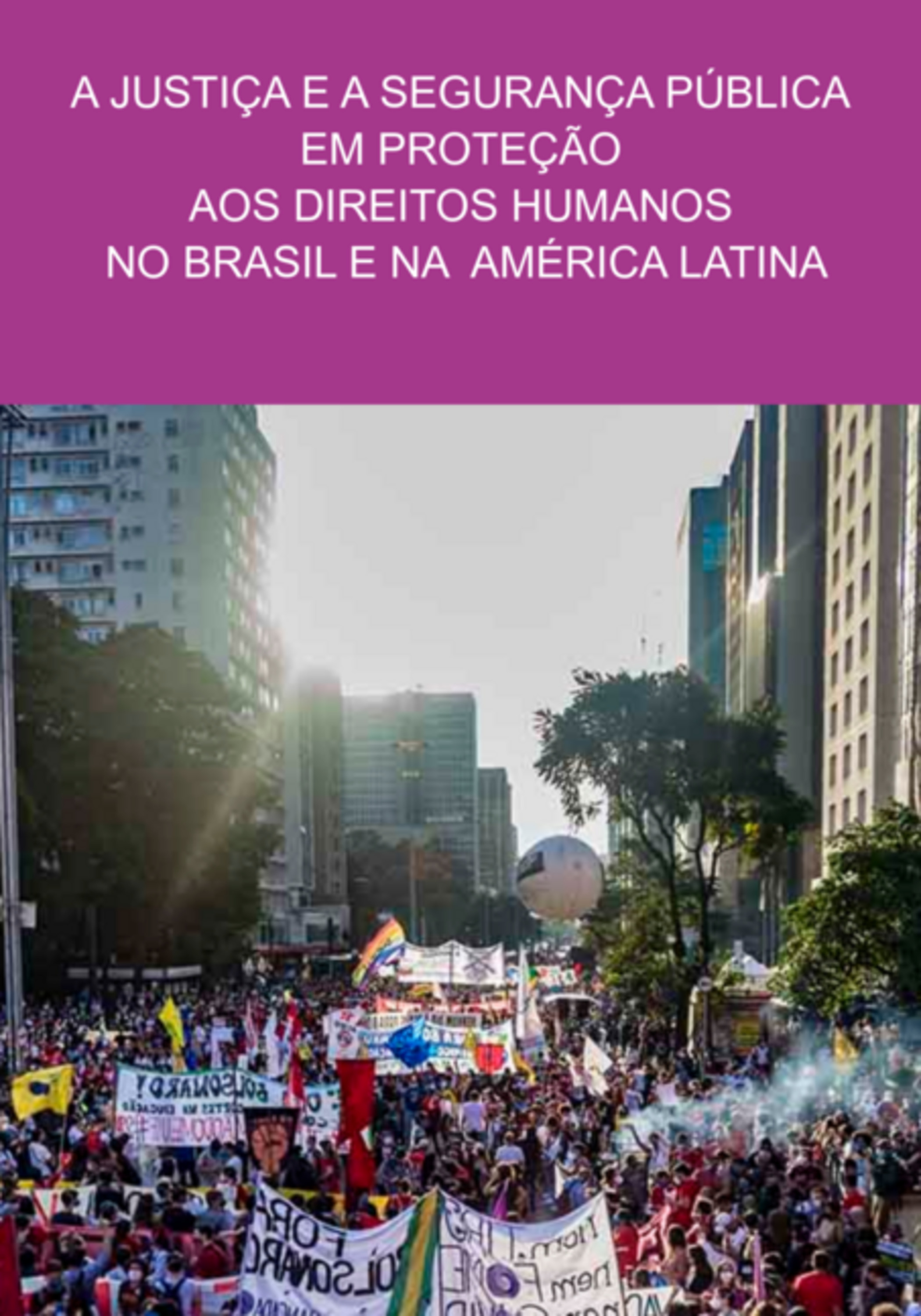 A Justiça E A Segurança Pública Em Proteção Aos Direitos Humanos No Brasil E Na América Latina