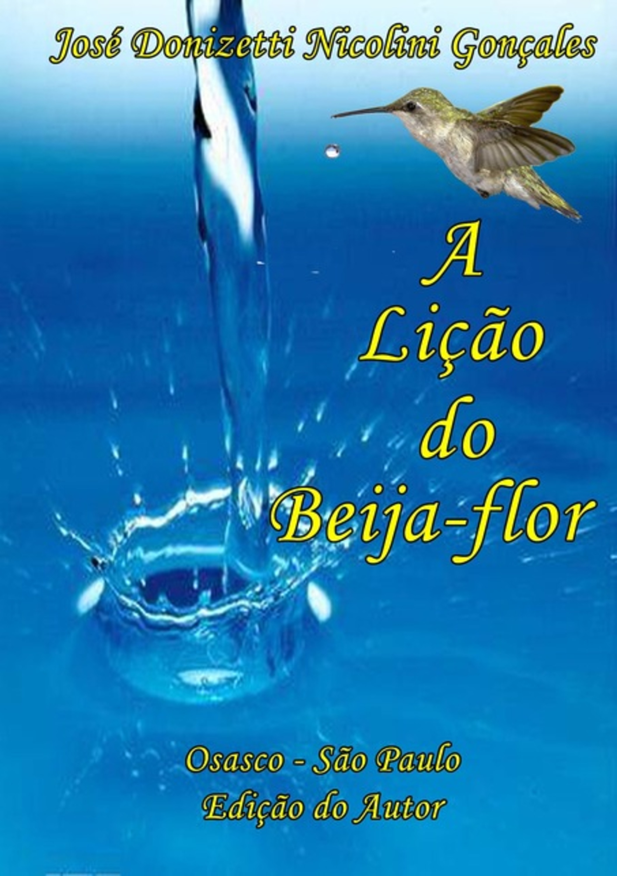 A Lição Do Beija-flor