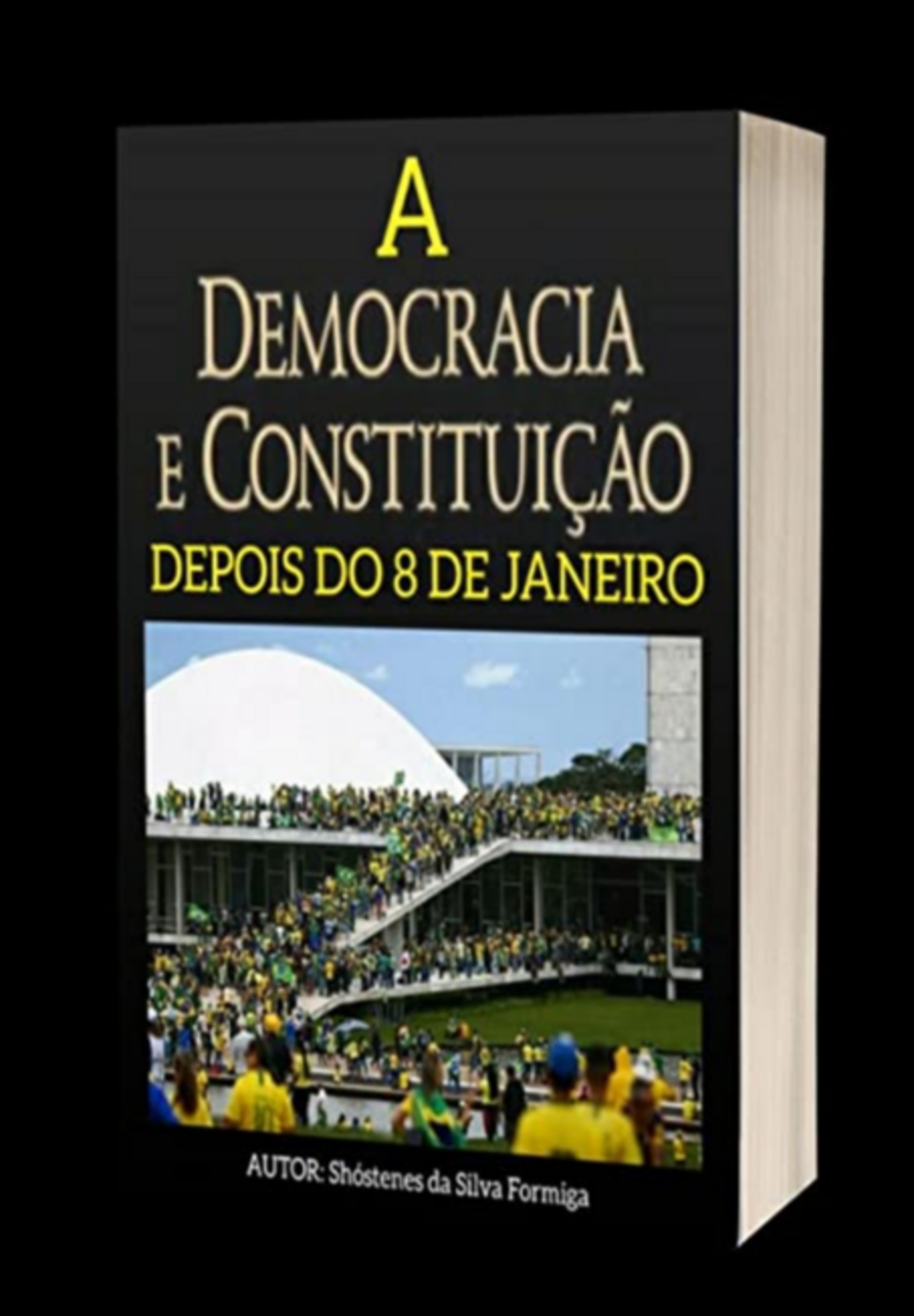 A Nova Democracia Depois Do 8 De Janeiro