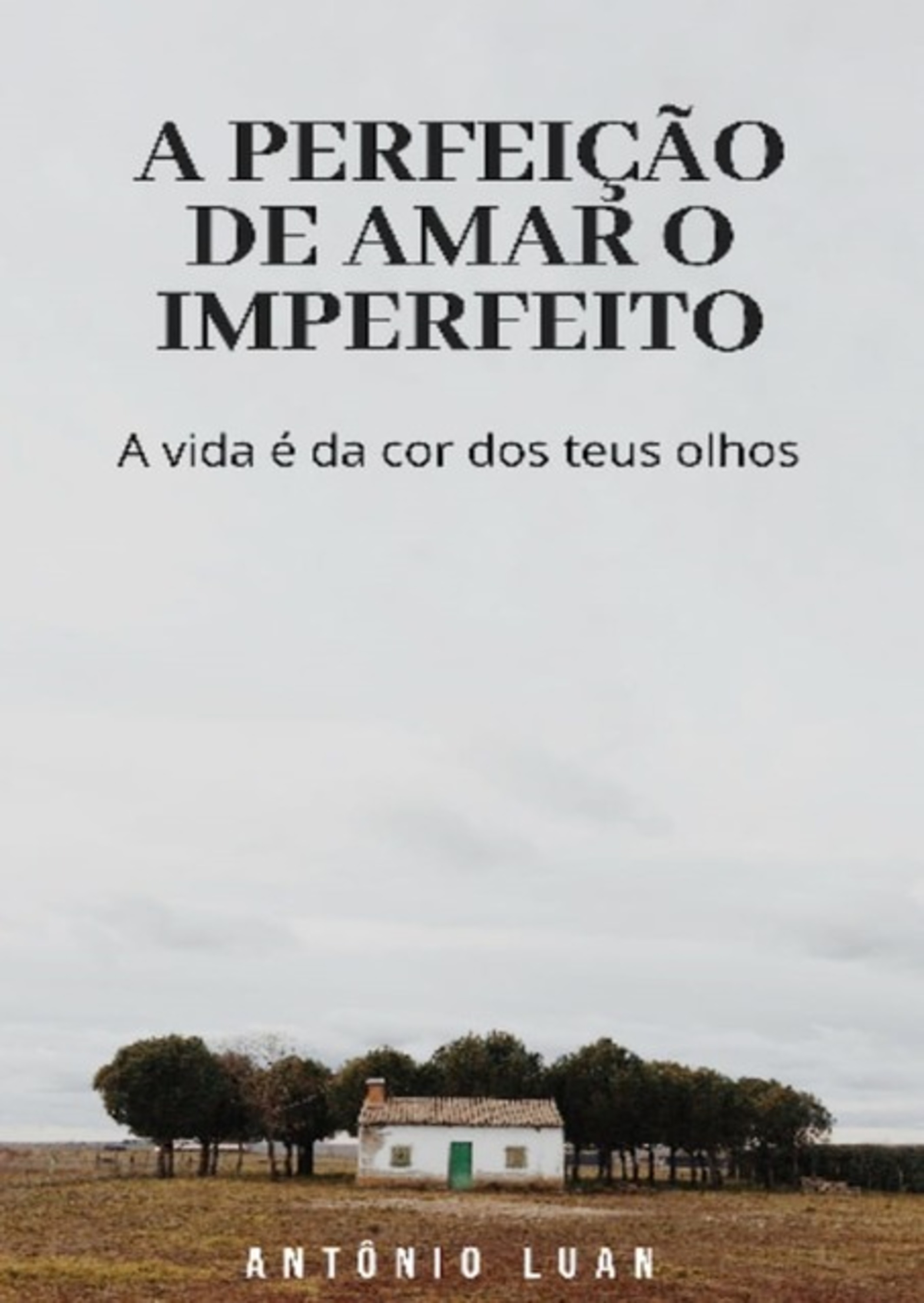 A Perfeição De Amar O Imperfeito