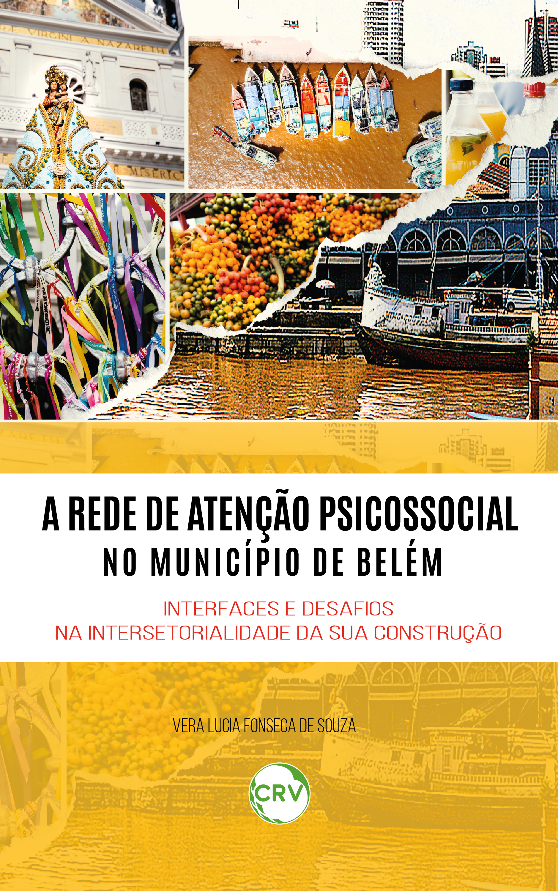 A rede de atenção psicossocial no município de Belém