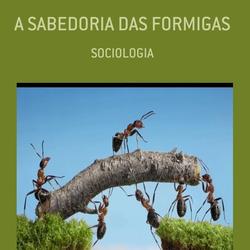 A SABEDORIA DAS FORMIGAS