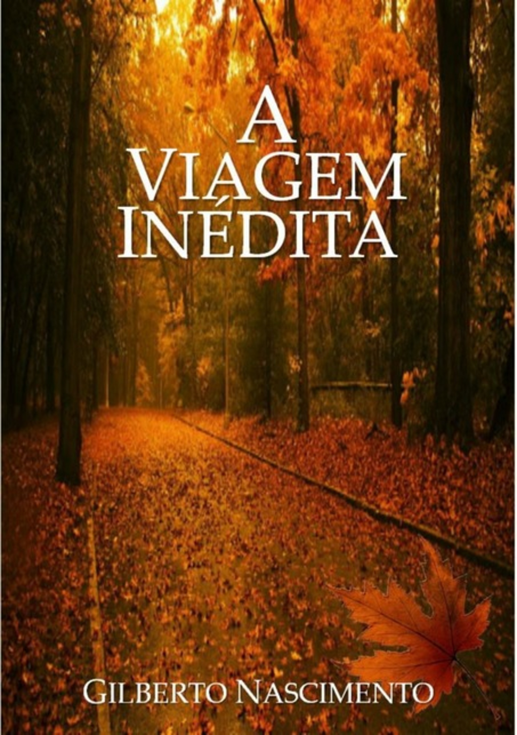 A Viagem Inédita