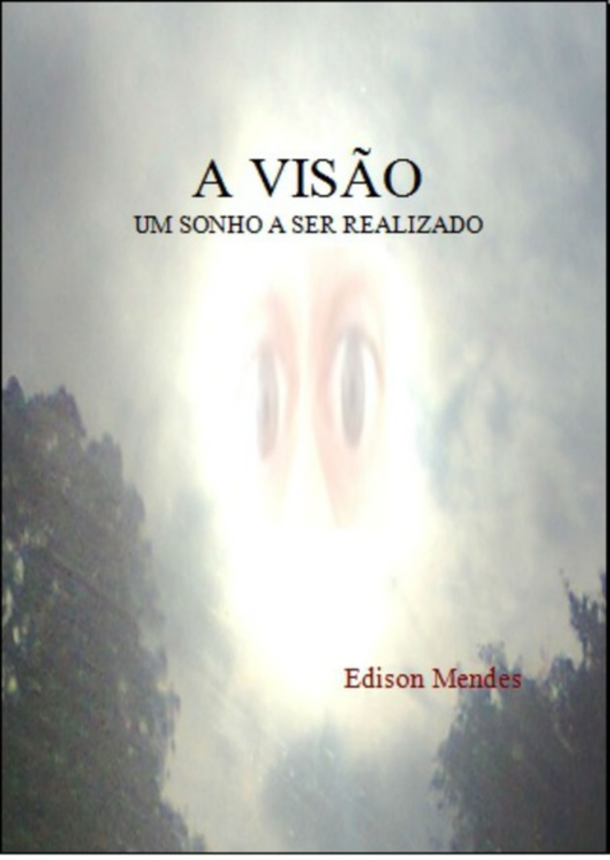 A Visão