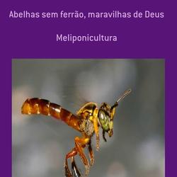 ABELHAS SEM FERRÃO - MARAVILHA DE DEUS