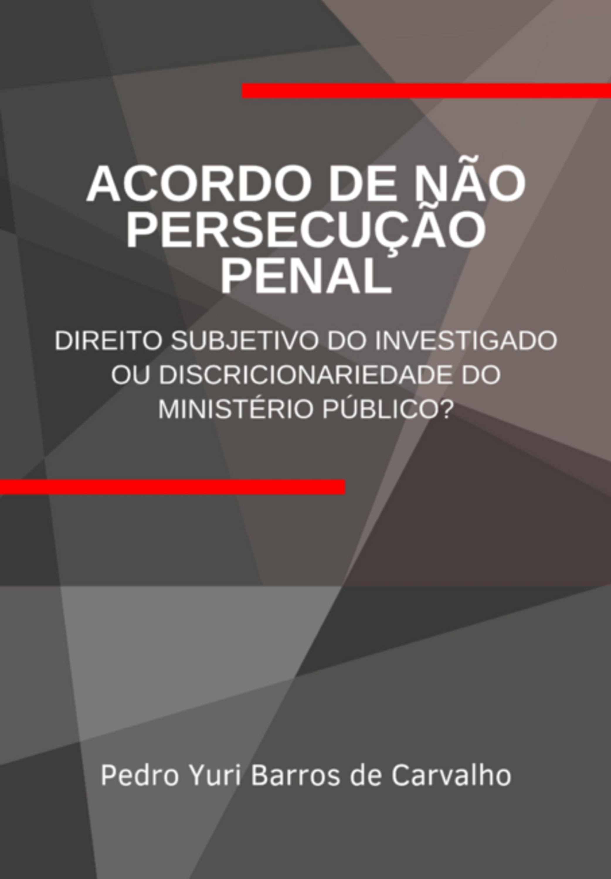 Acordo De Não Persecução Penal: