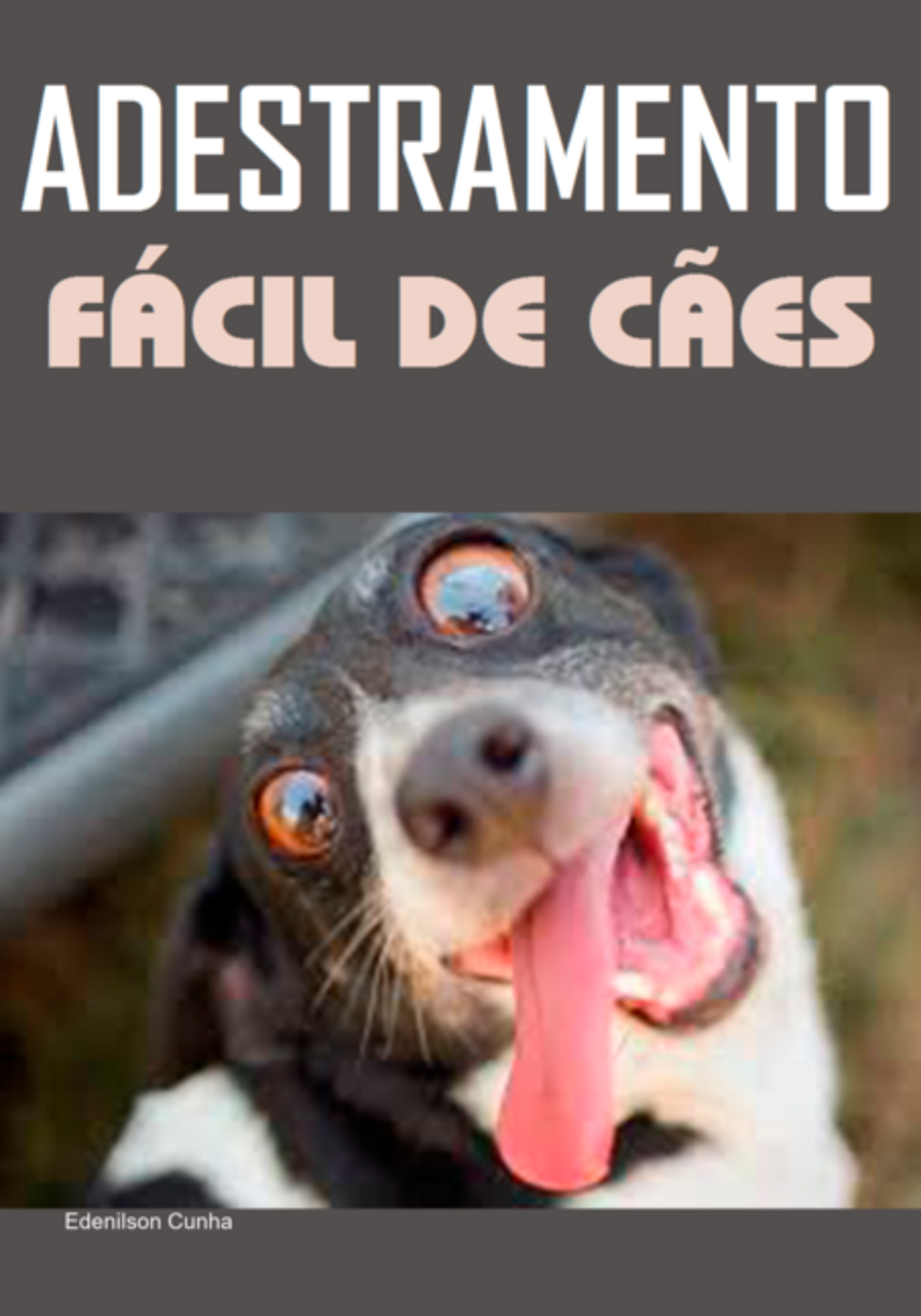 Adestramento Fácil De Cães