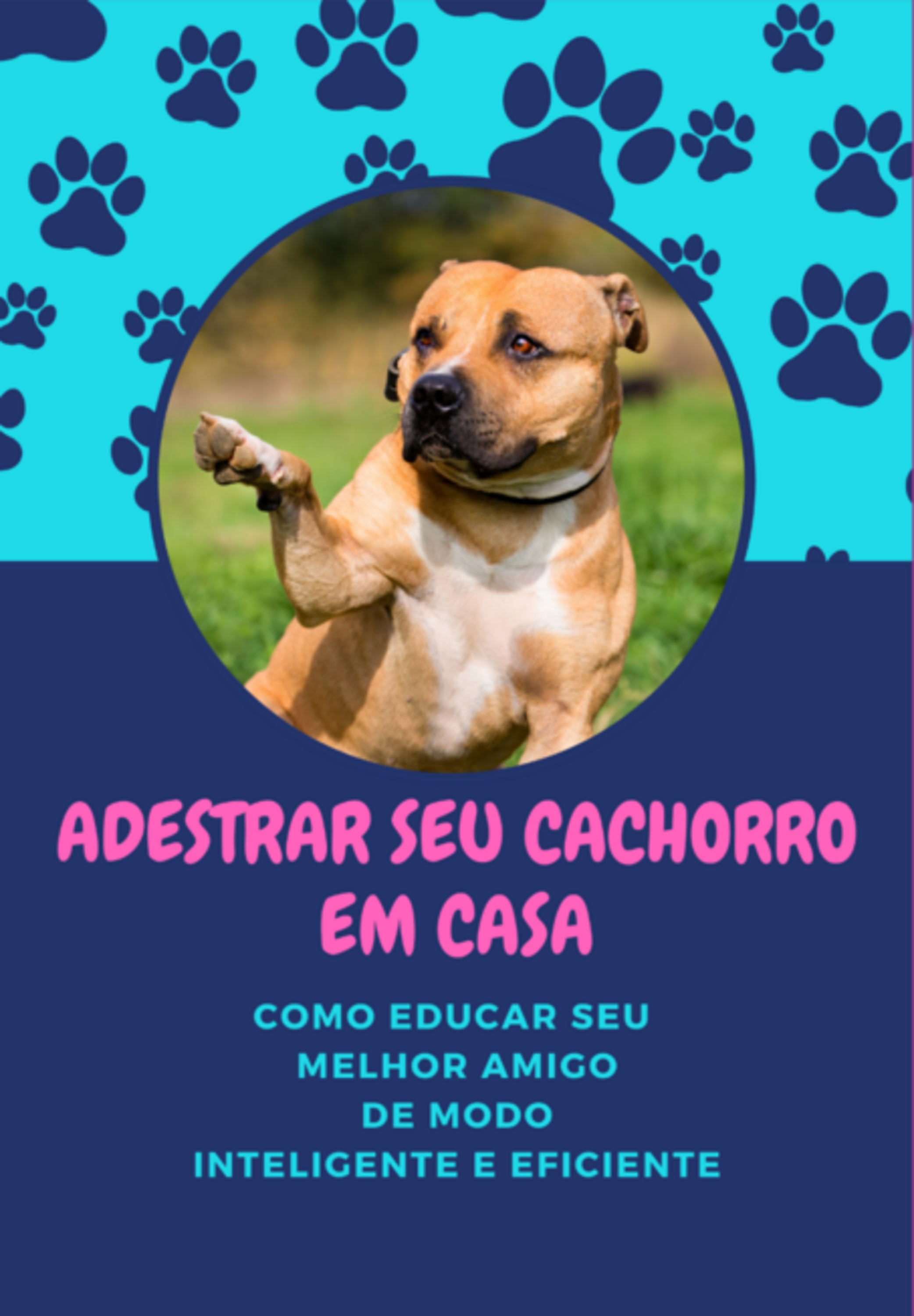 Adestrar Seu Cachorro Em Casa