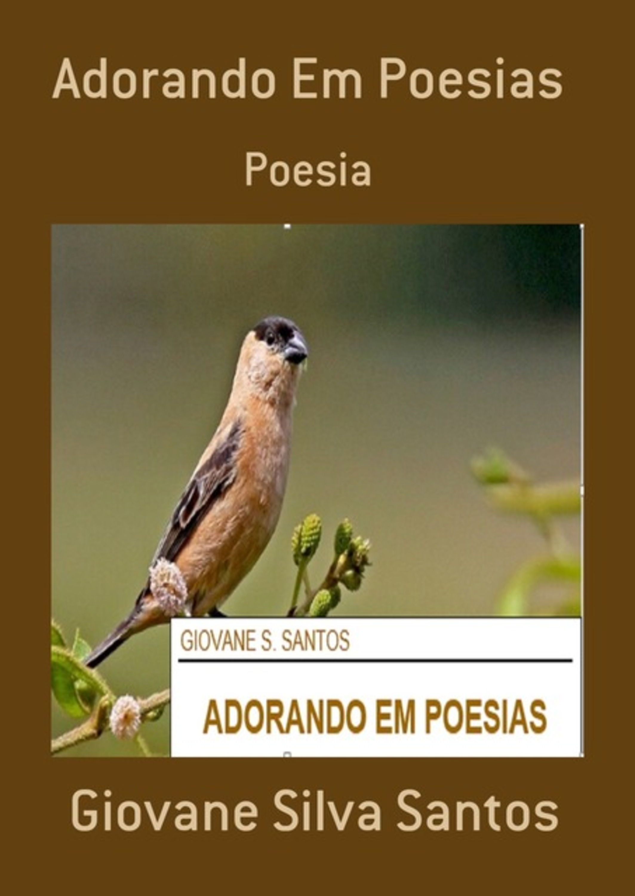 Adorando Em Poesias