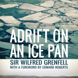Adrift on an Ice Pan