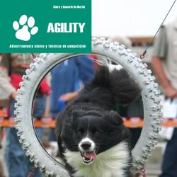 Agility