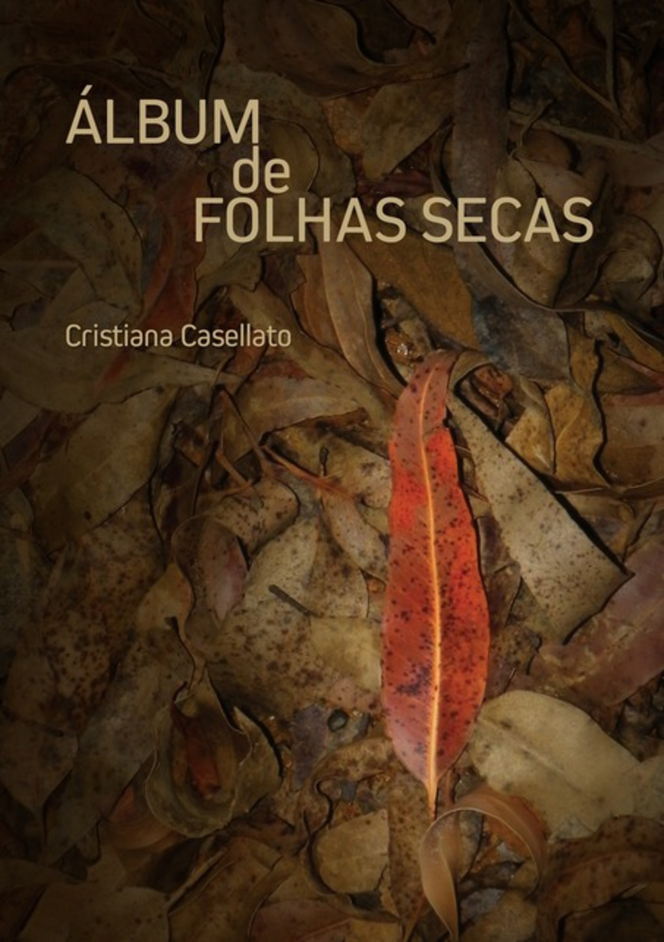 Álbum De Folhas Secas