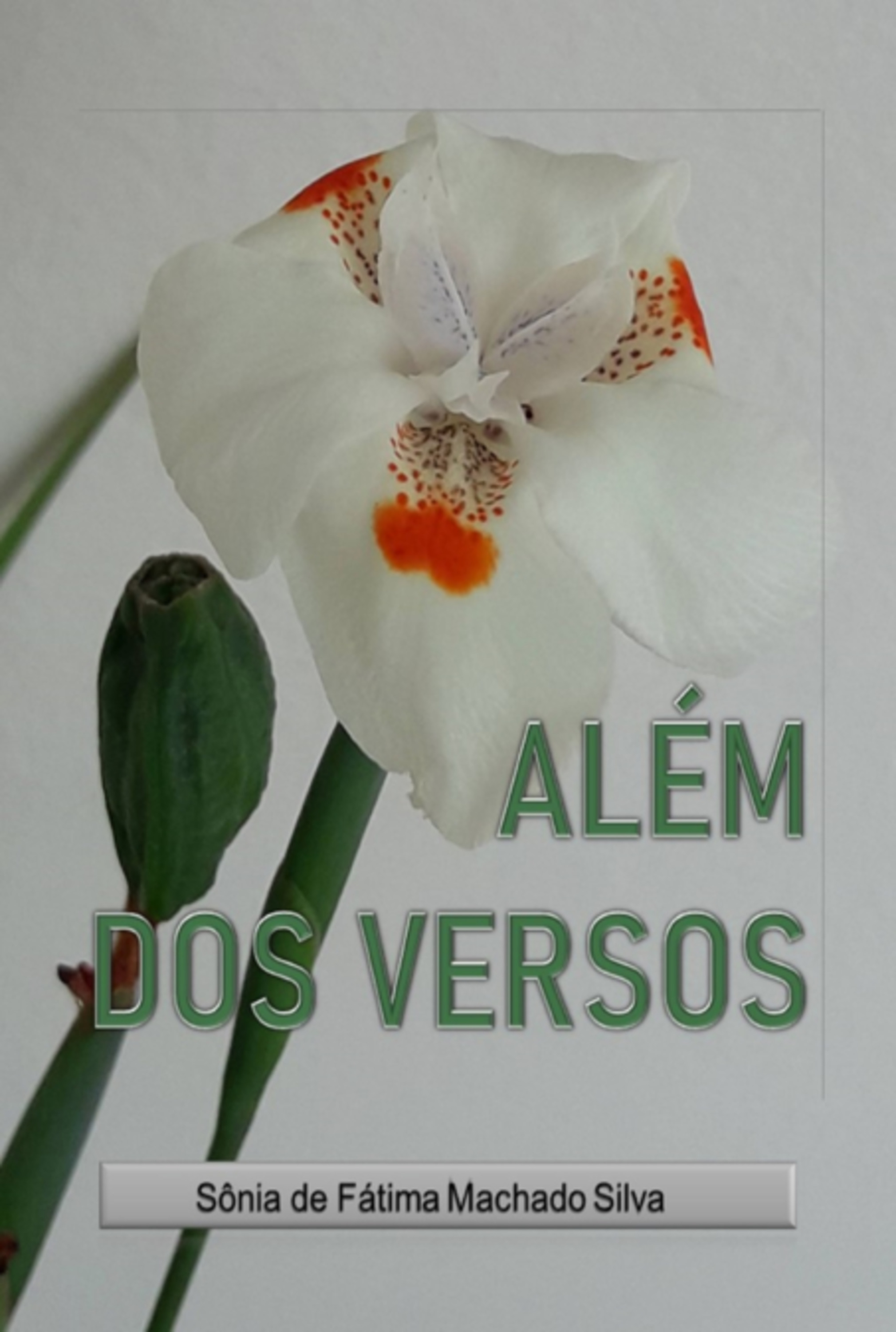 Além Dos Versos