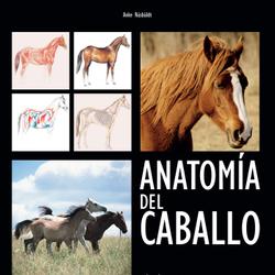 Anatomía del caballo: Guía práctica ilustrada