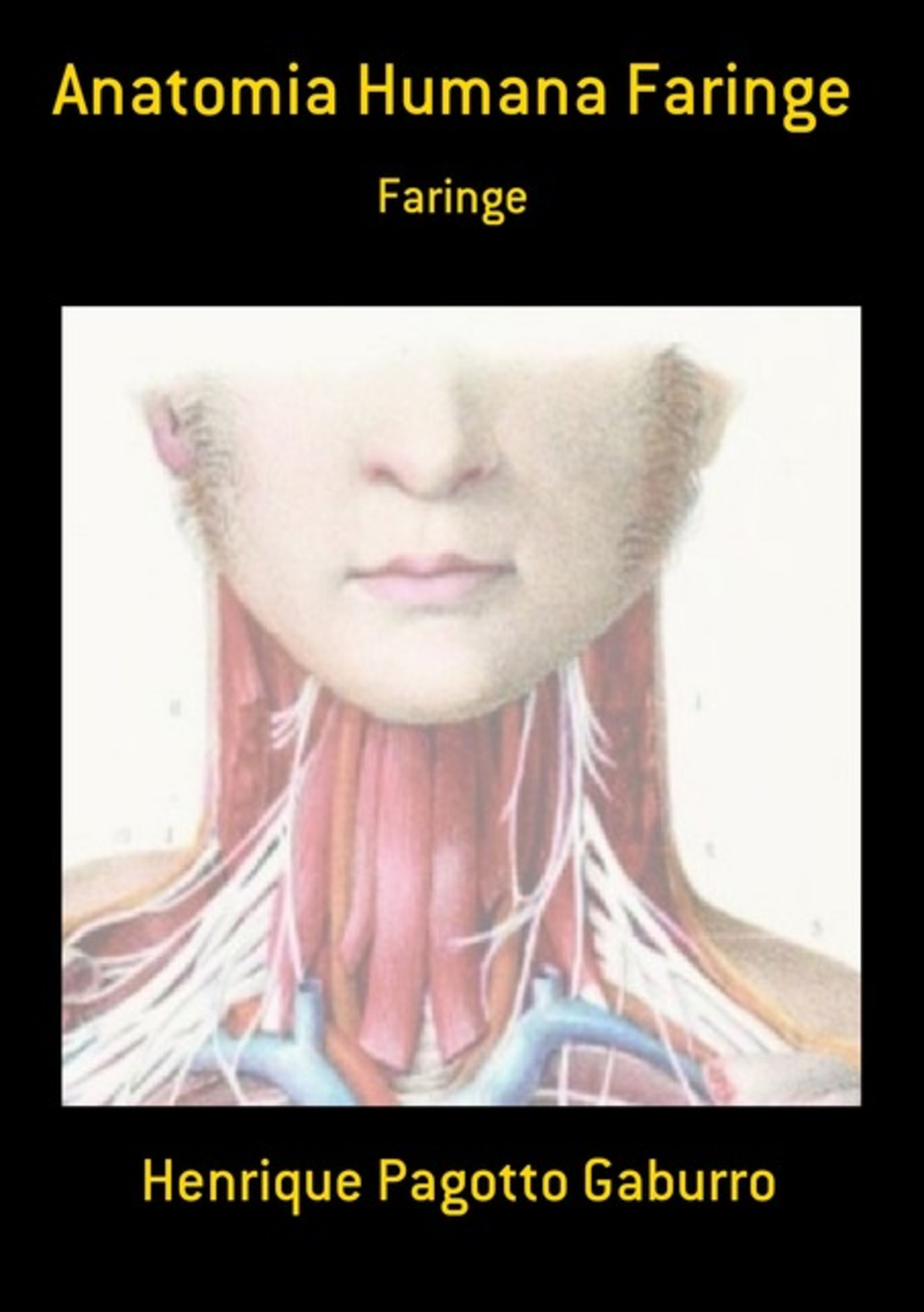 Anatomia Humana Faringe