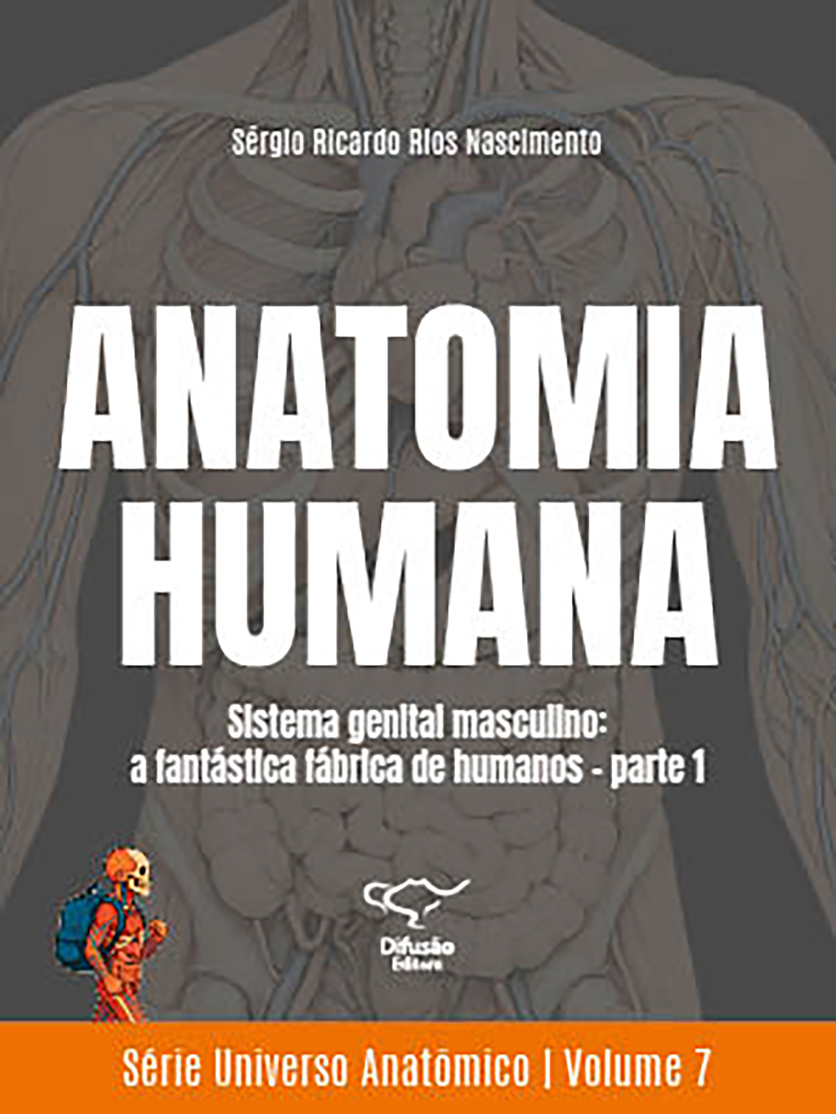 Anatomia humana - Sistema genital masculino: a fantástica fábrica de humanos