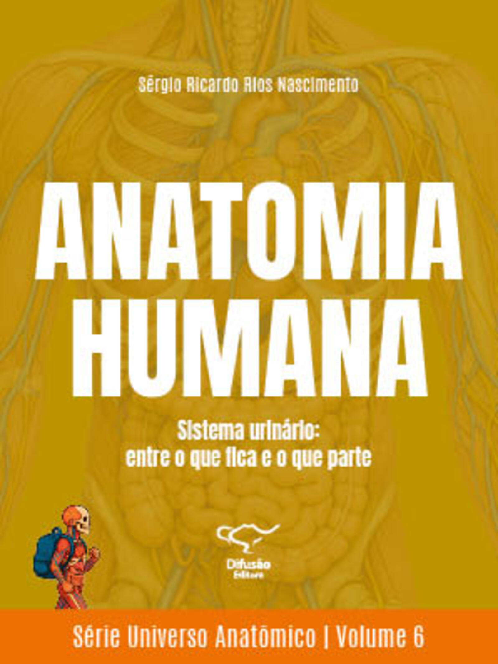 Anatomia humana - Sistema urinário: entre o que fica e o que parte