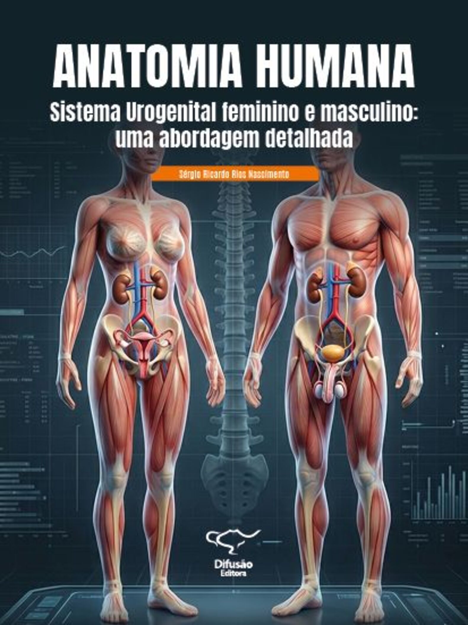 Anatomia humana: sistema urogenital feminino e masculino: uma abordagem detalhada