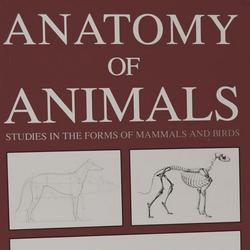 Anatomy of Animals: Studies in the Forms of Mammals and Birds