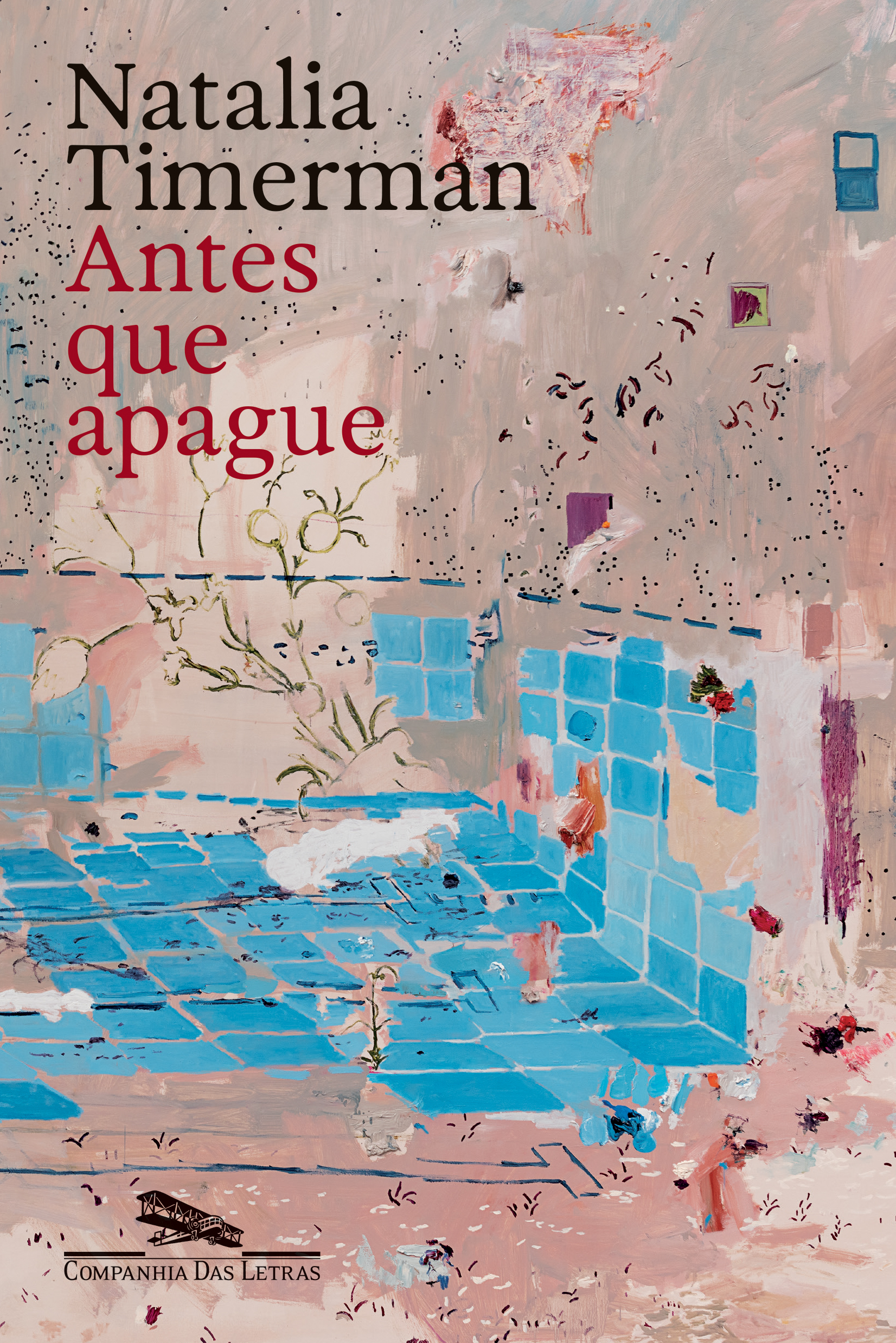 Antes que apague