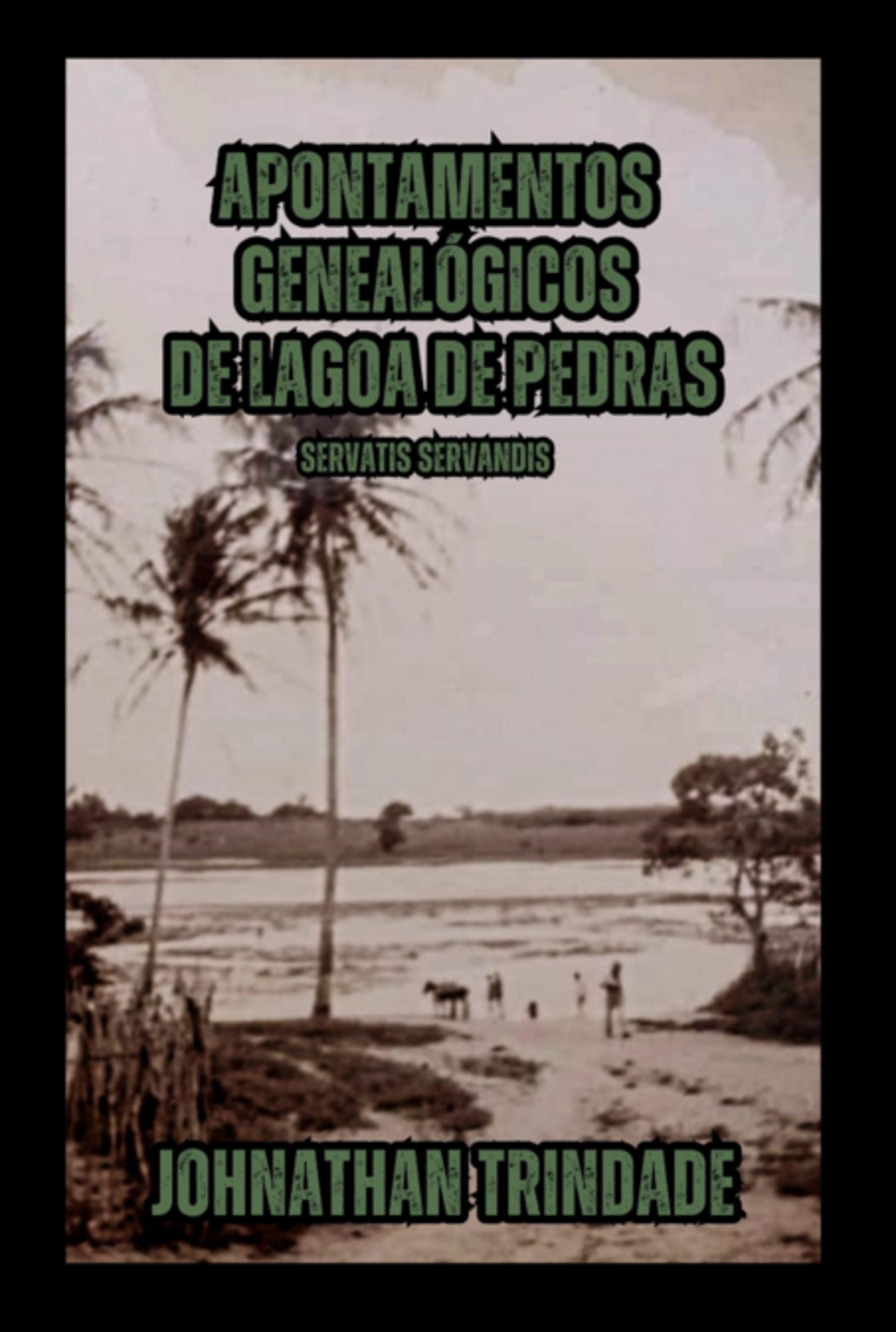 Apontamentos Genealógicos De Lagoa De Pedras