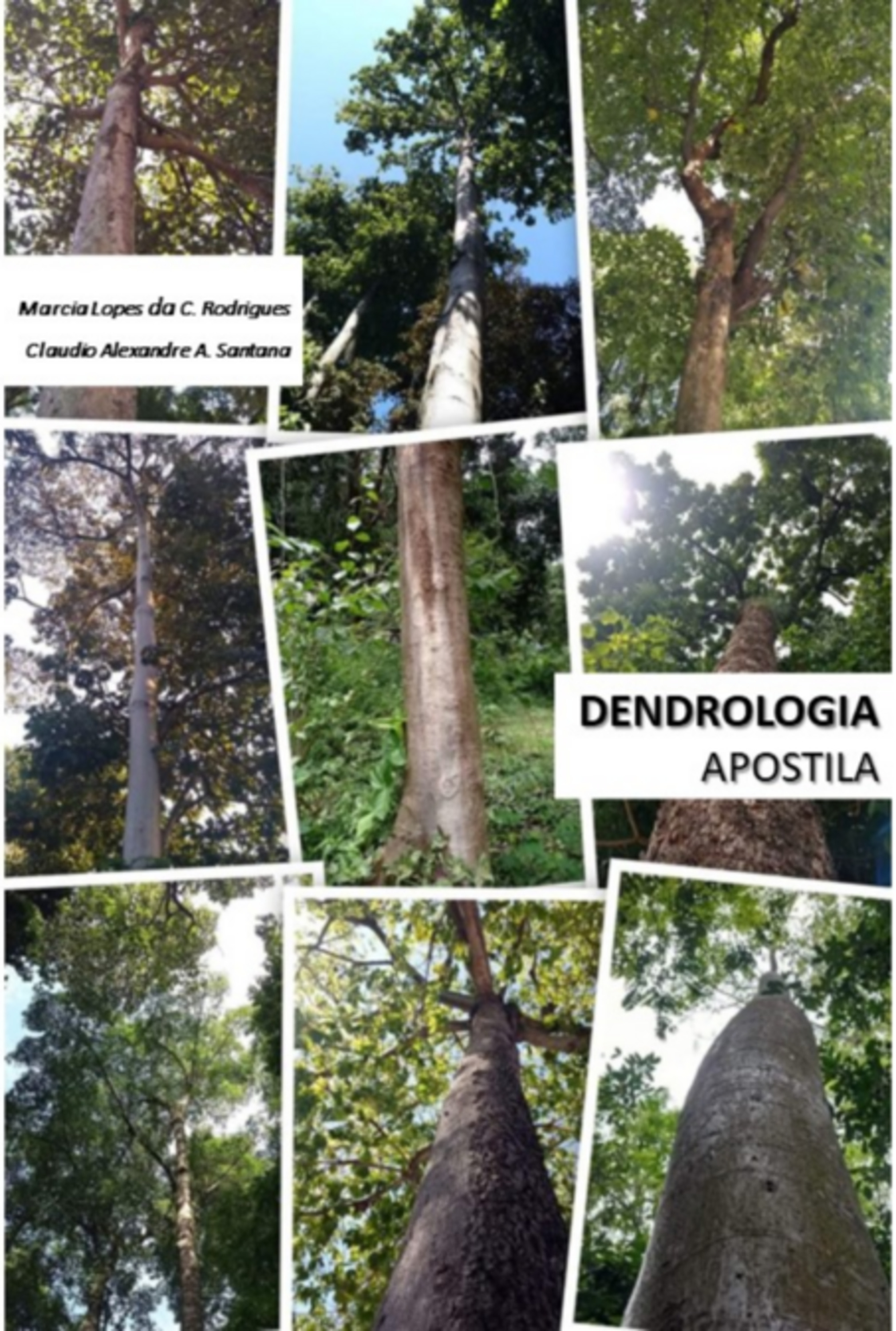 Apostila De Dendrologia