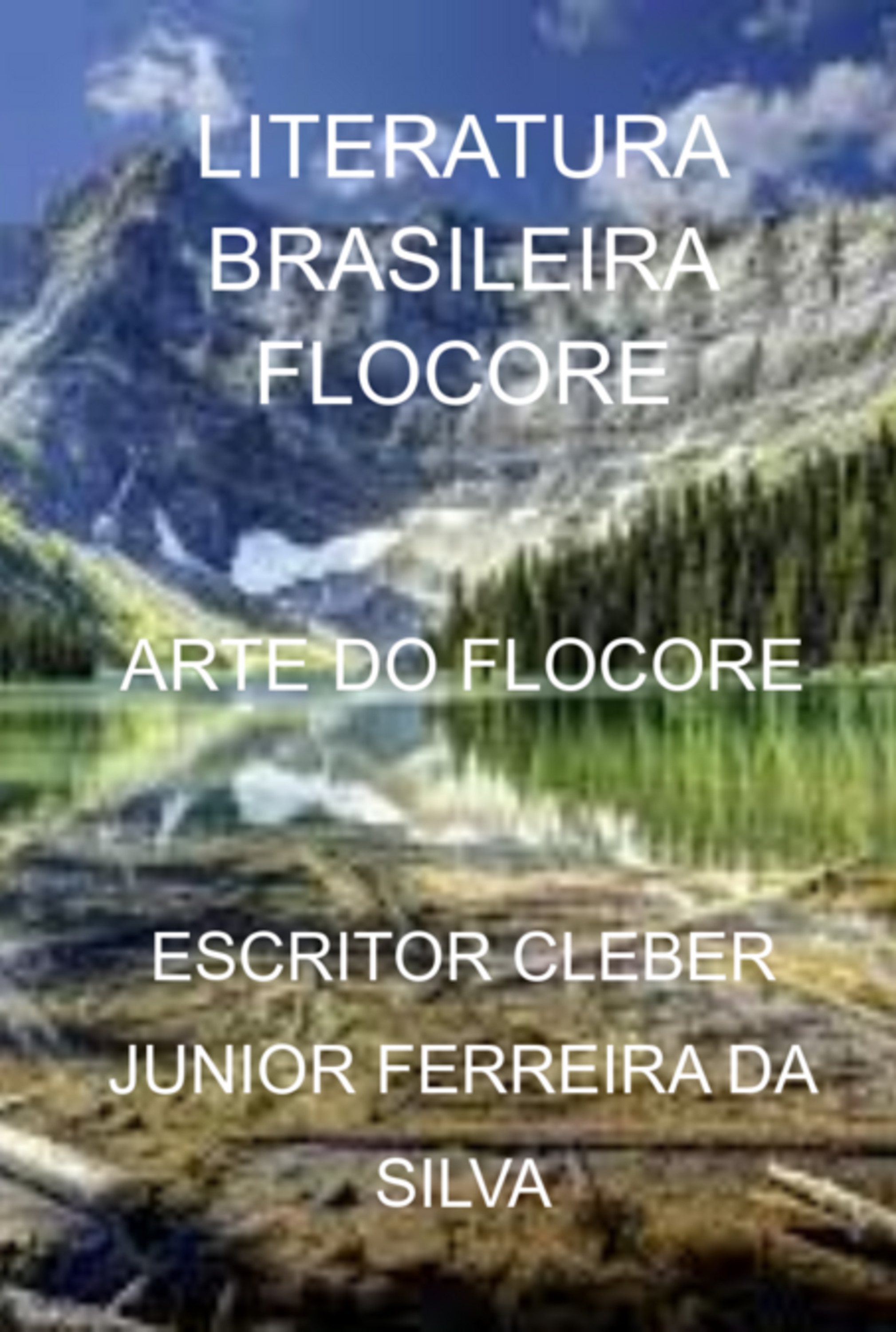 Arte Do Flocore