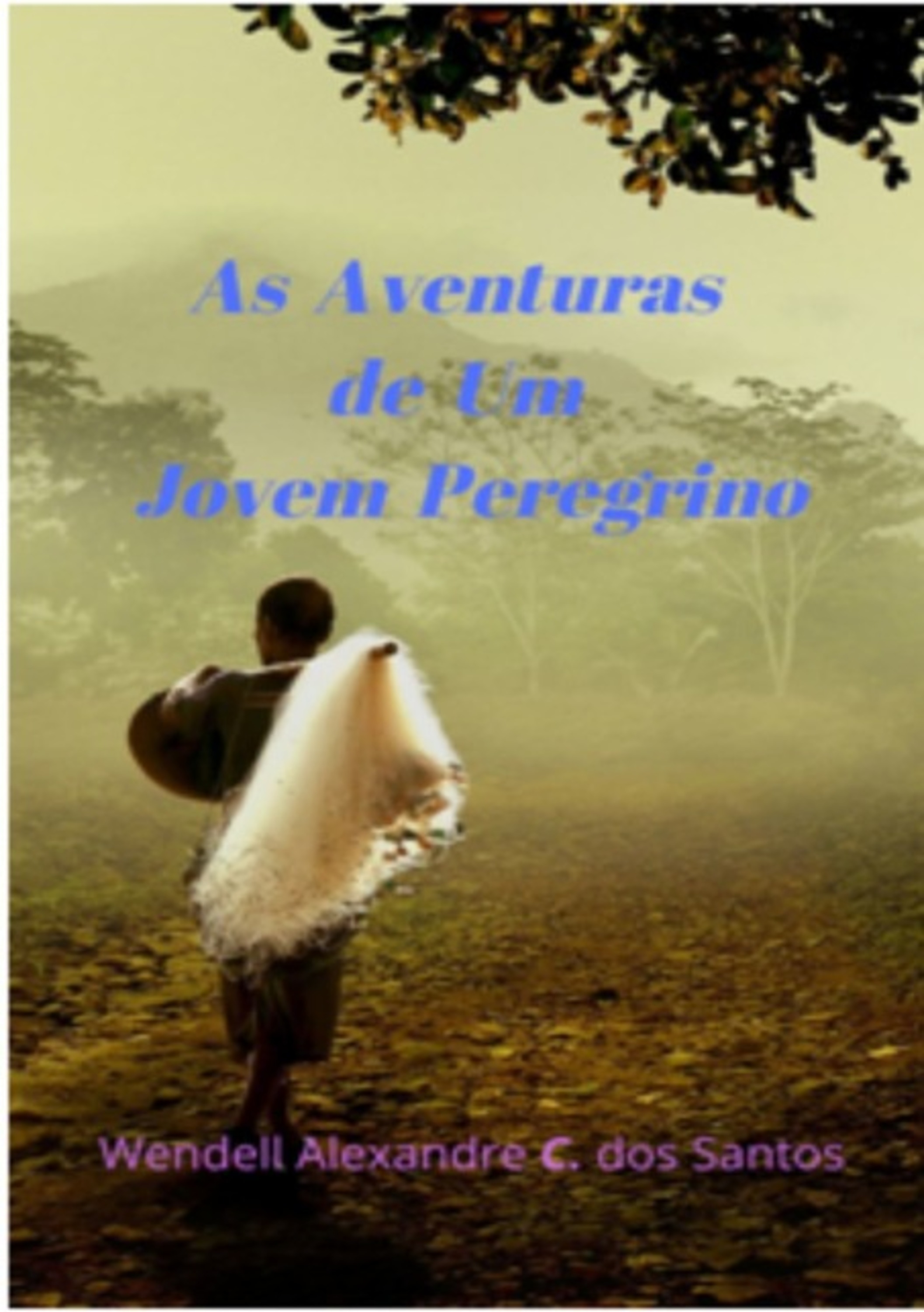 As Aventuras De Um Jovem Peregrino