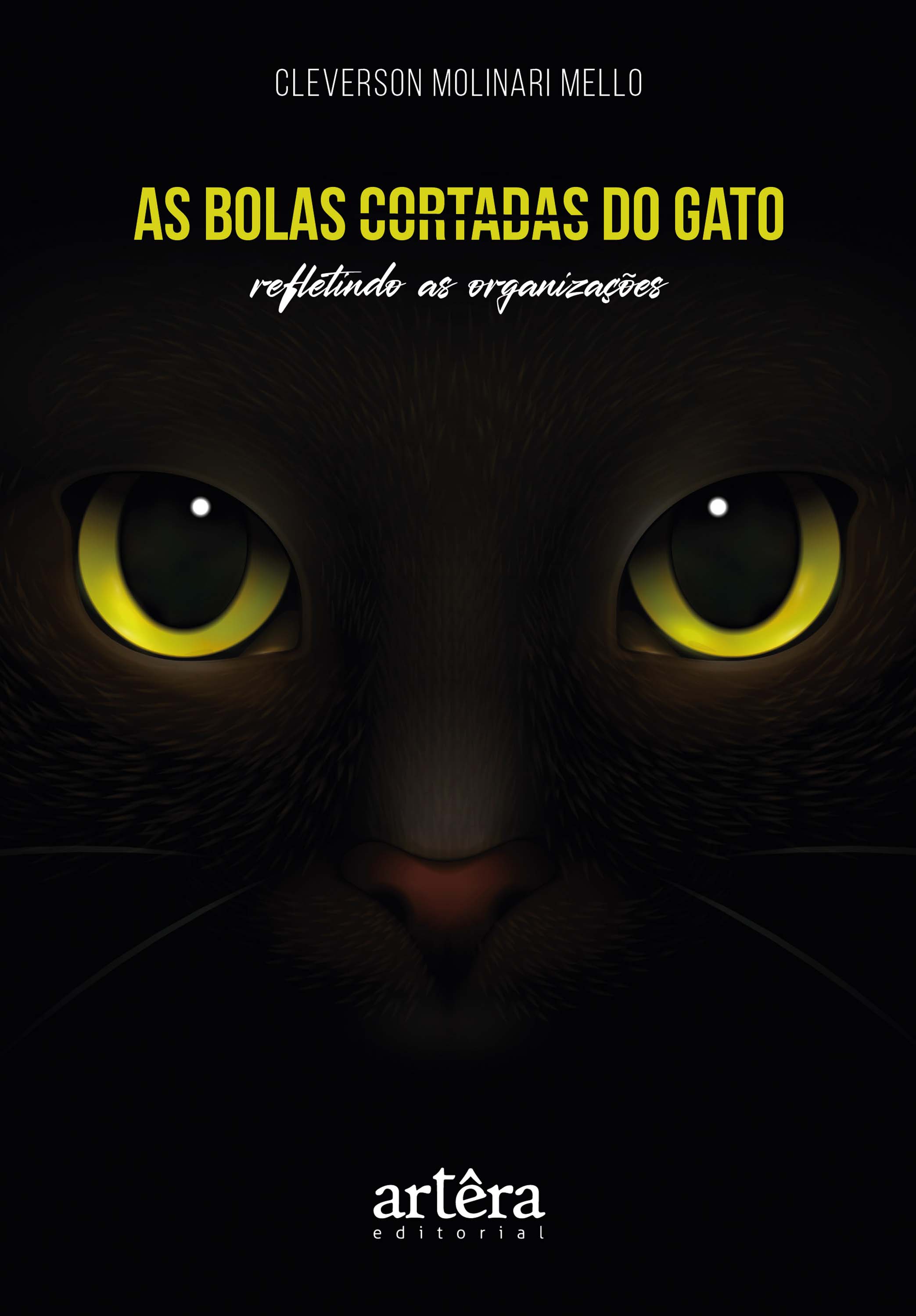  As Bolas Cortadas do Gato: Refletindo as Organizações