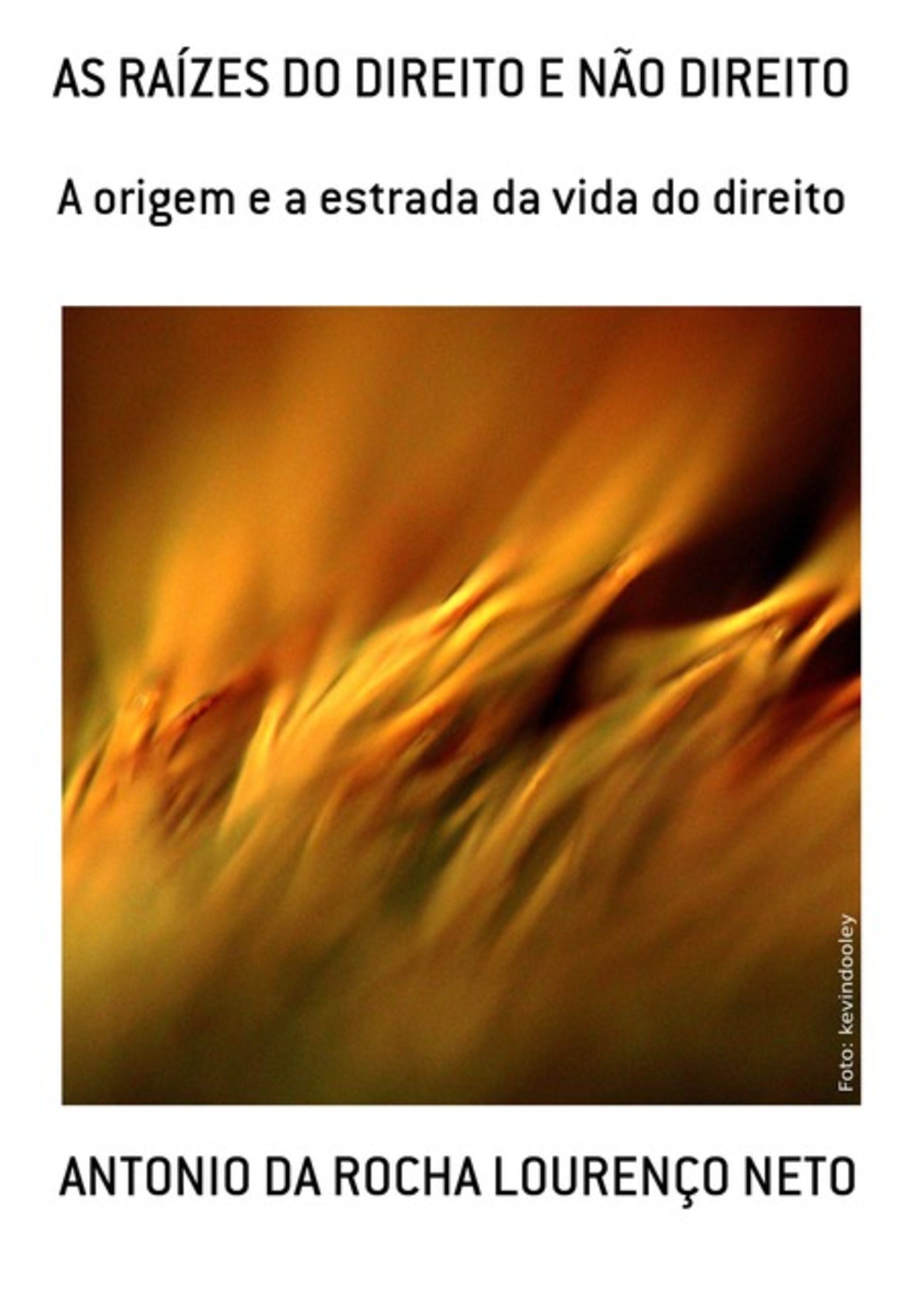 As Raízes Do Direito E Não Direito