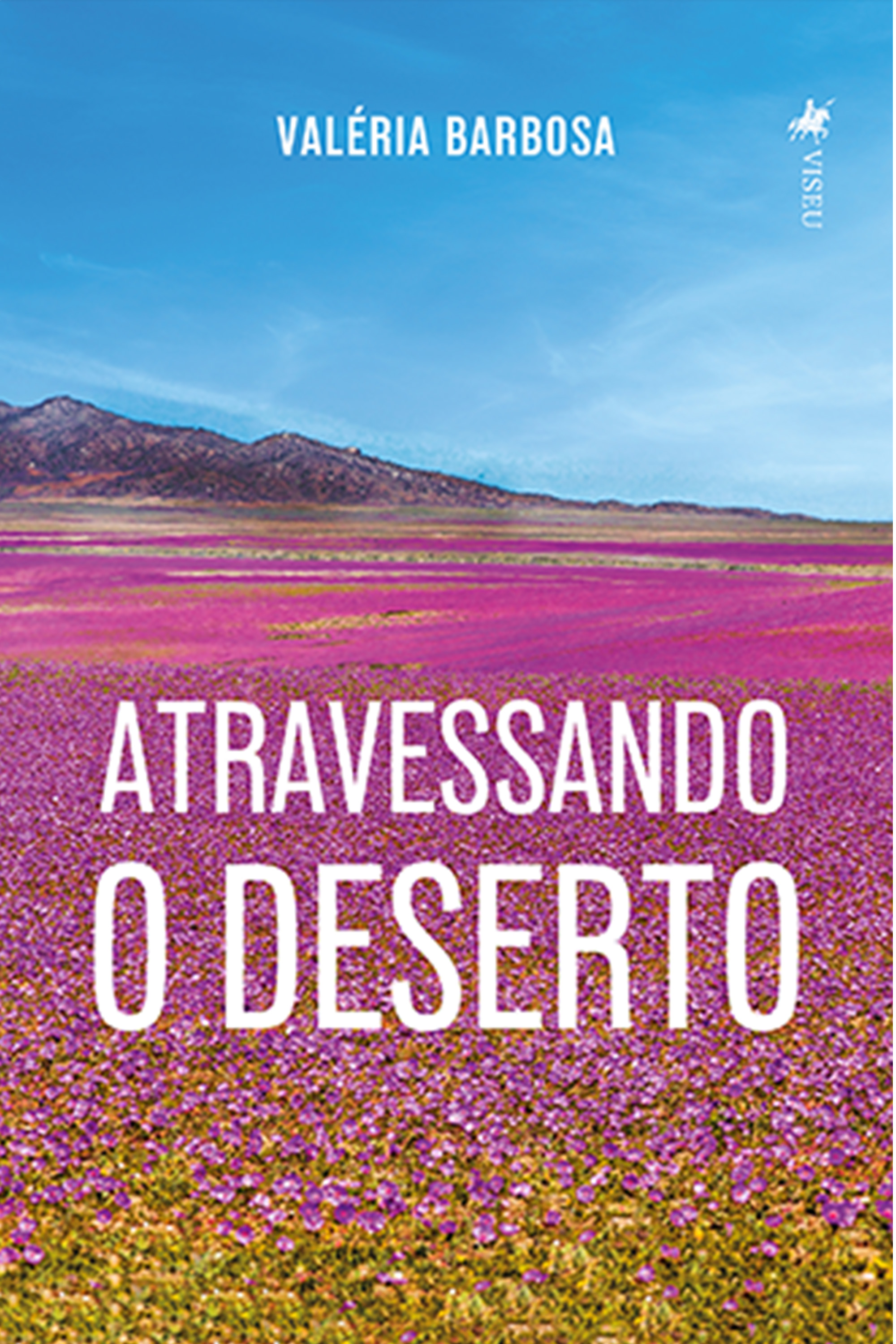 Atravessando o Deserto