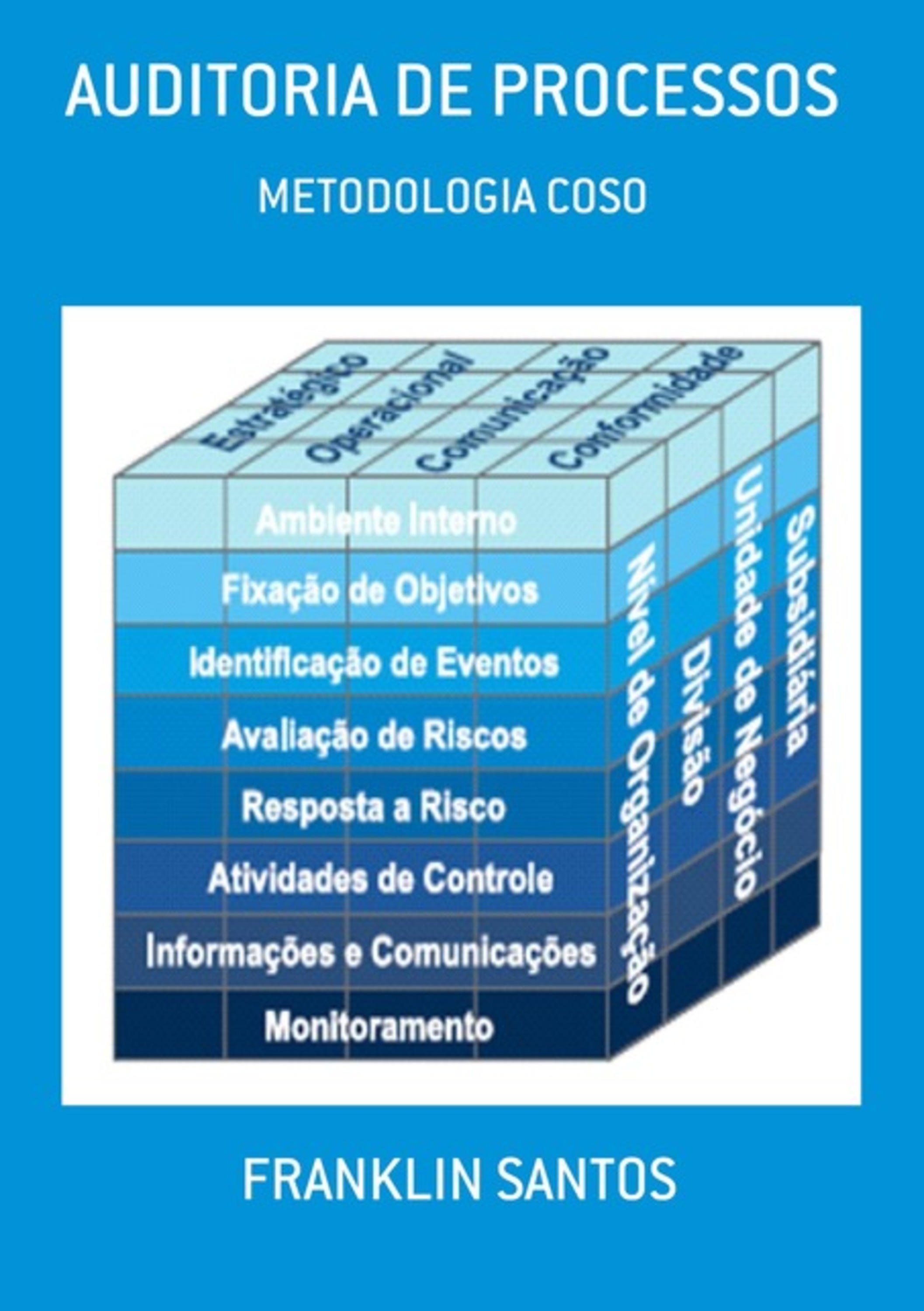 Auditoria De Processos