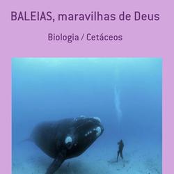 BALEIAS - MARAVILHAS DE DEUS