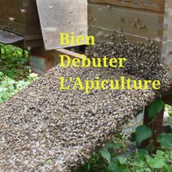 Bien débuter l'apiculture