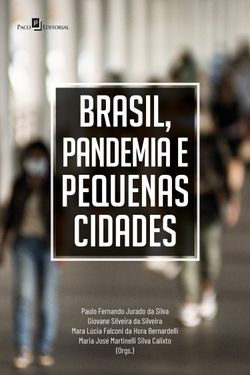 Brasil, pandemia e pequenas cidades