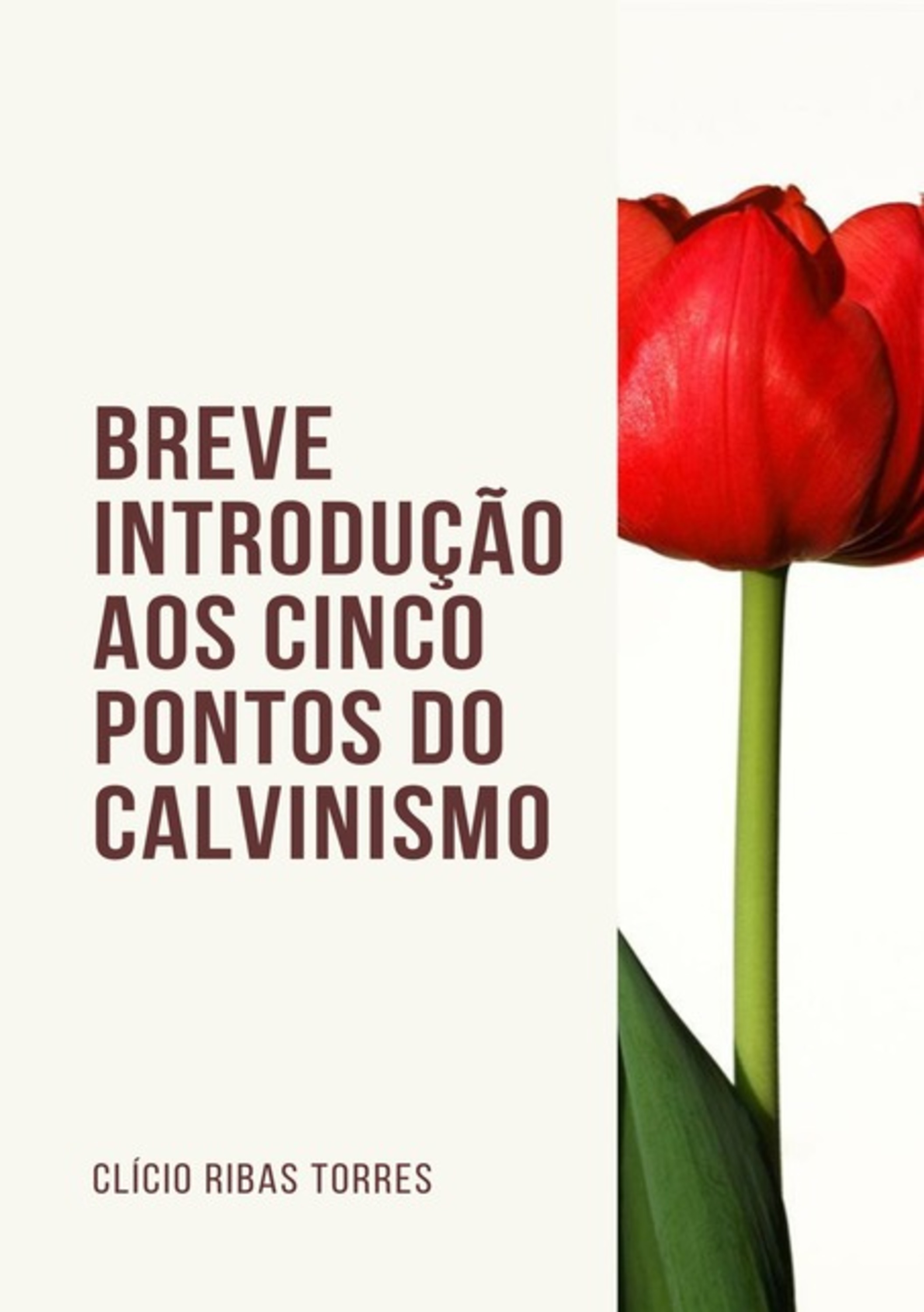 Breve Introdução Aos Cinco Pontos Do Calvinismo