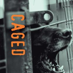 Caged