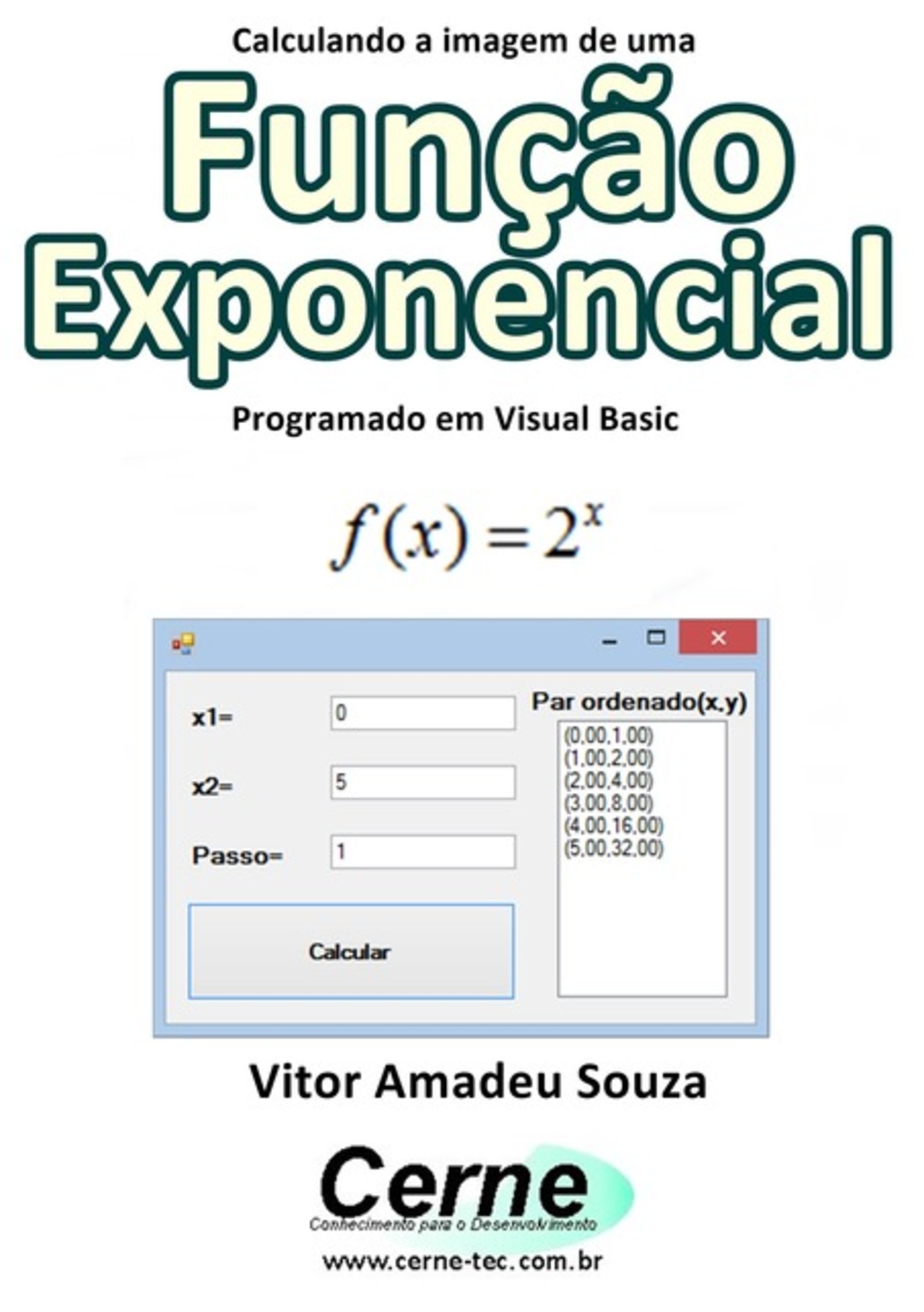 Calculando A Imagem De Uma Função Exponencial Programado Em Visual Basic