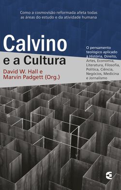 Calvino e a cultura