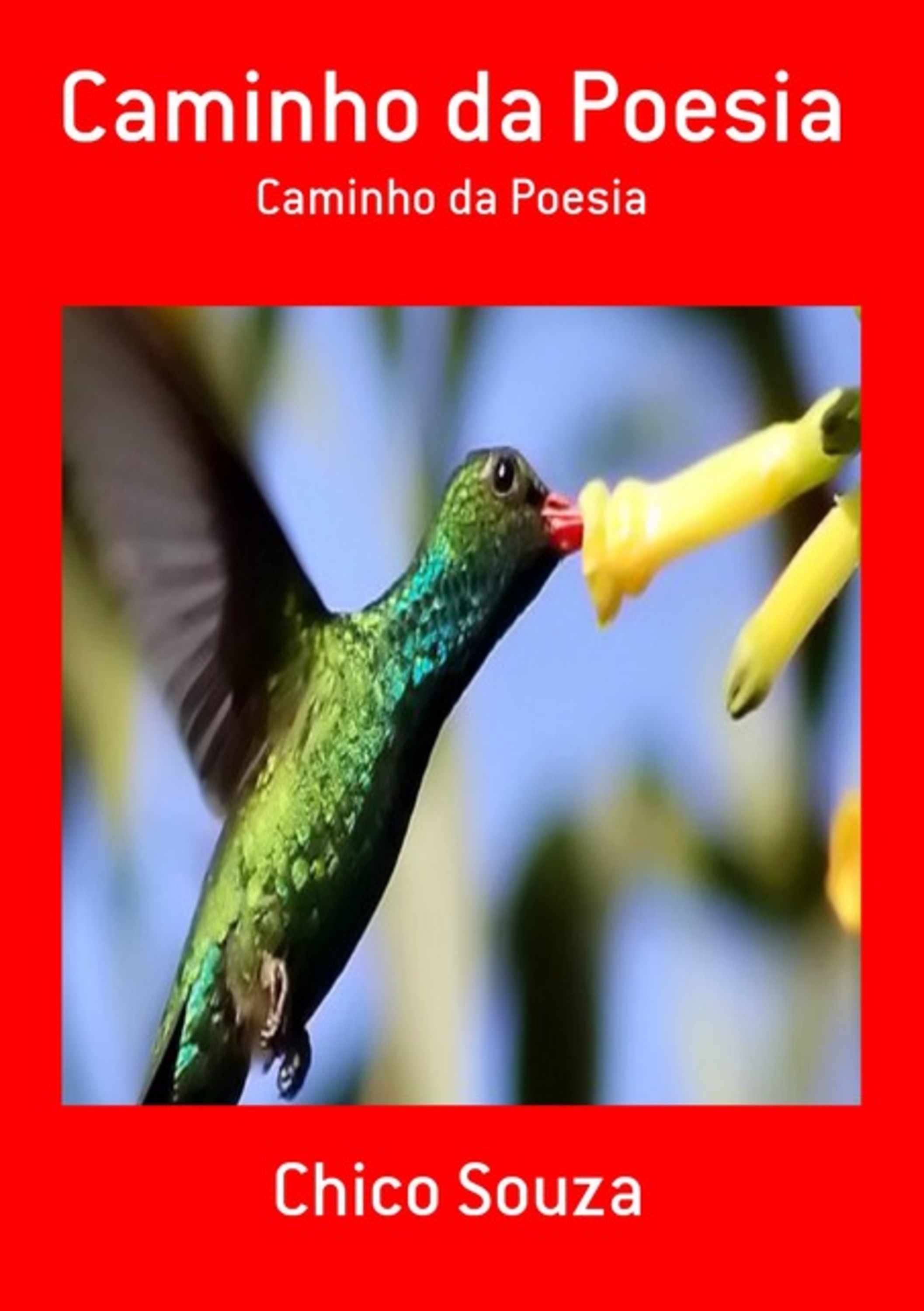 Caminho Da Poesia