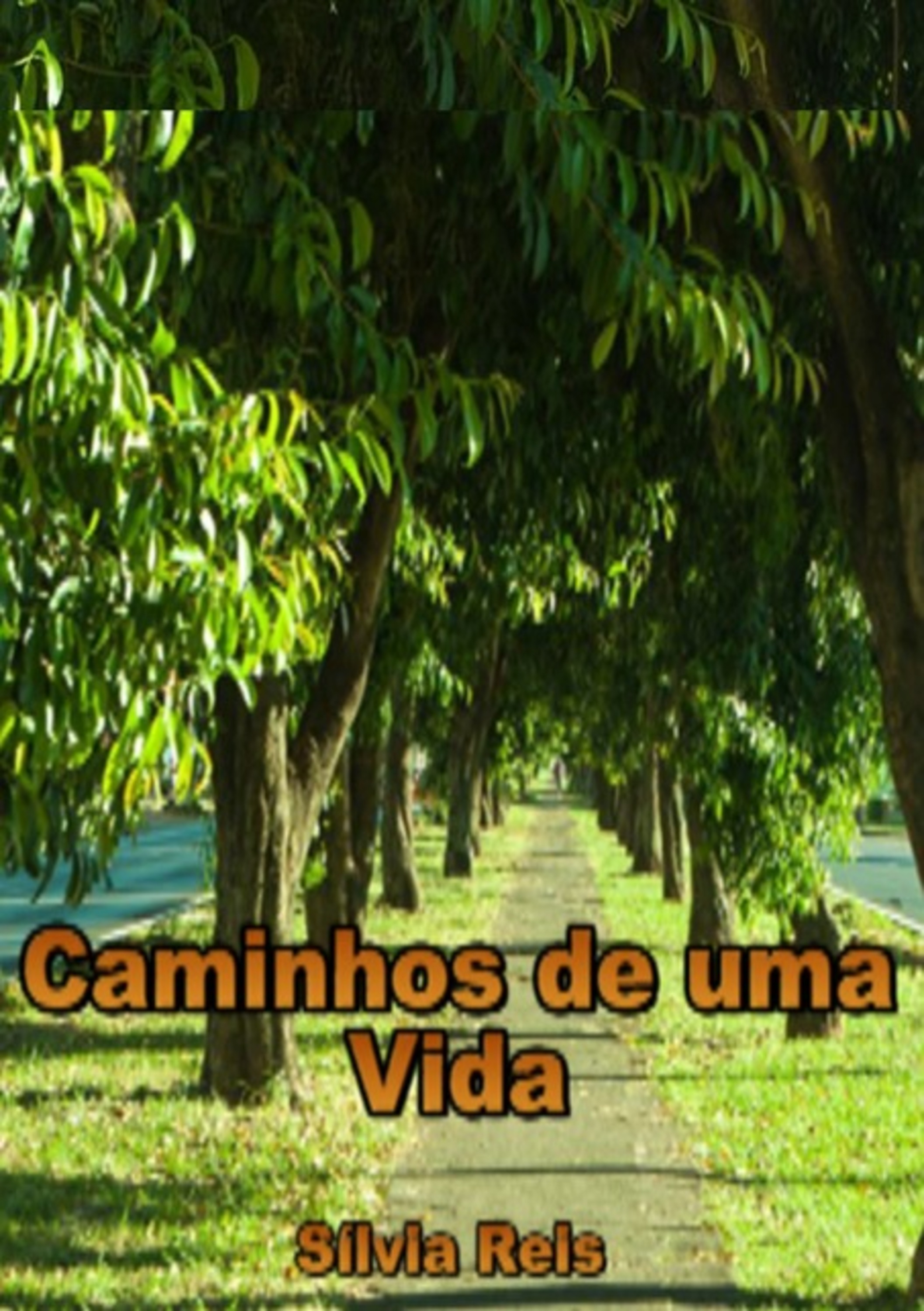 Caminhos De Uma Vida