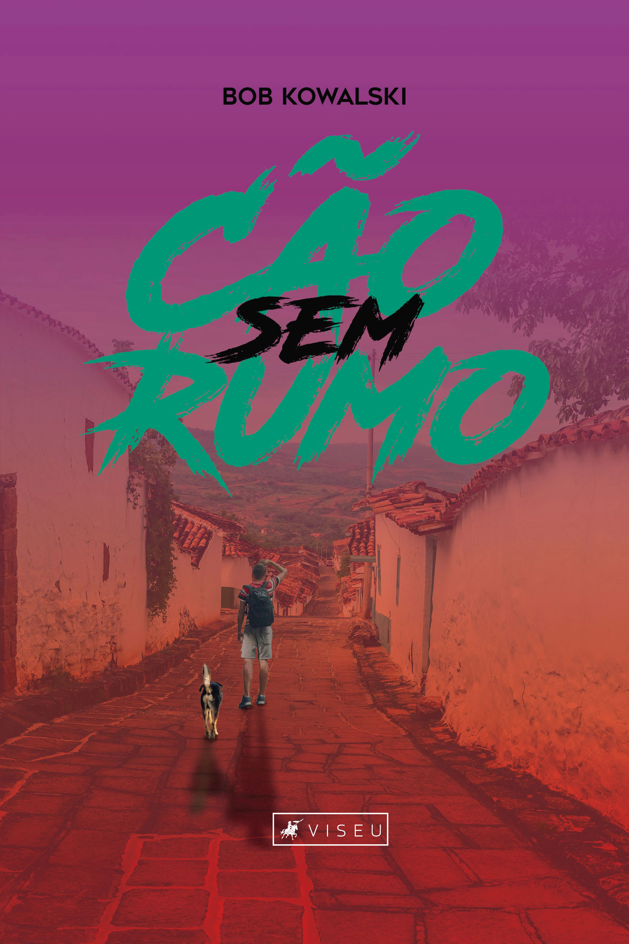 Cão sem rumo