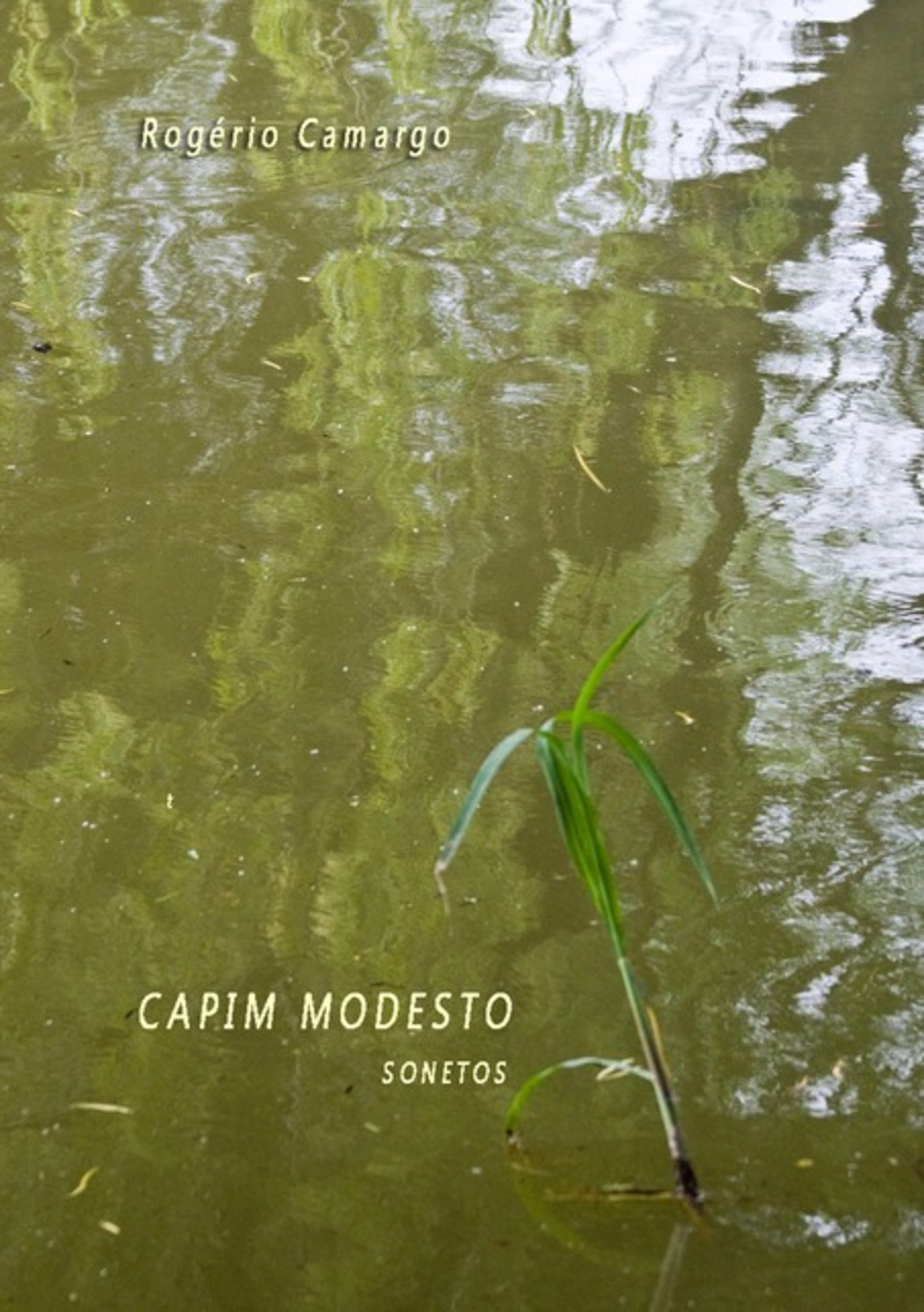 Capim Modesto