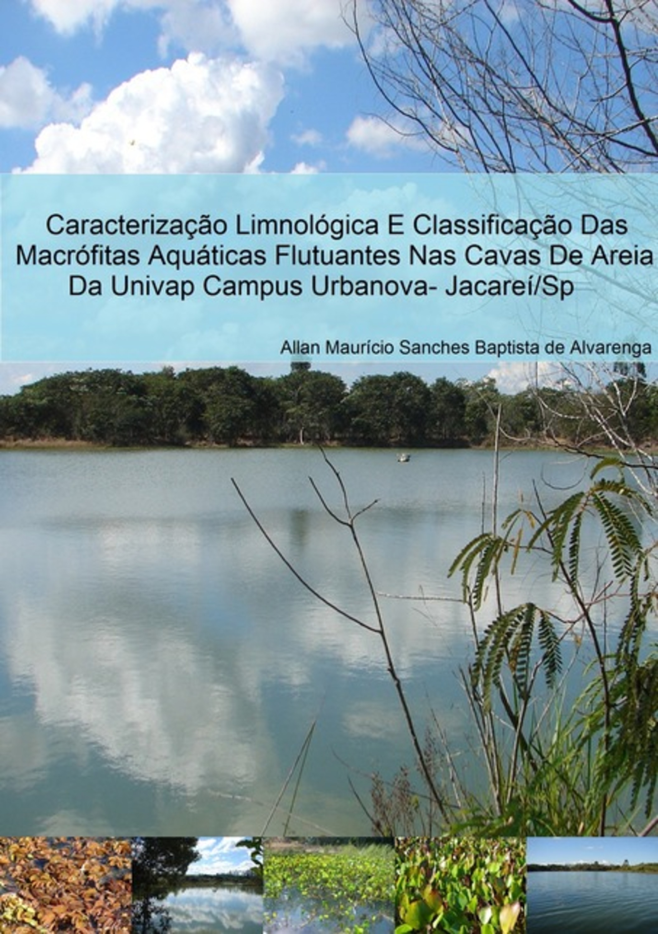 Caracterização Limnológica E Classificação Das Macrófitas Aquáticas Flutuantes Nas Cavas De Areia Da Univap Campus Urbanova- Jacareí/sp