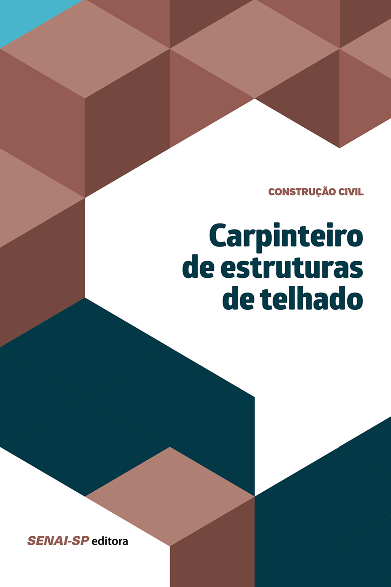 Carpinteiro de estruturas de telhado