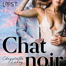 Chat noir – Une nouvelle érotique