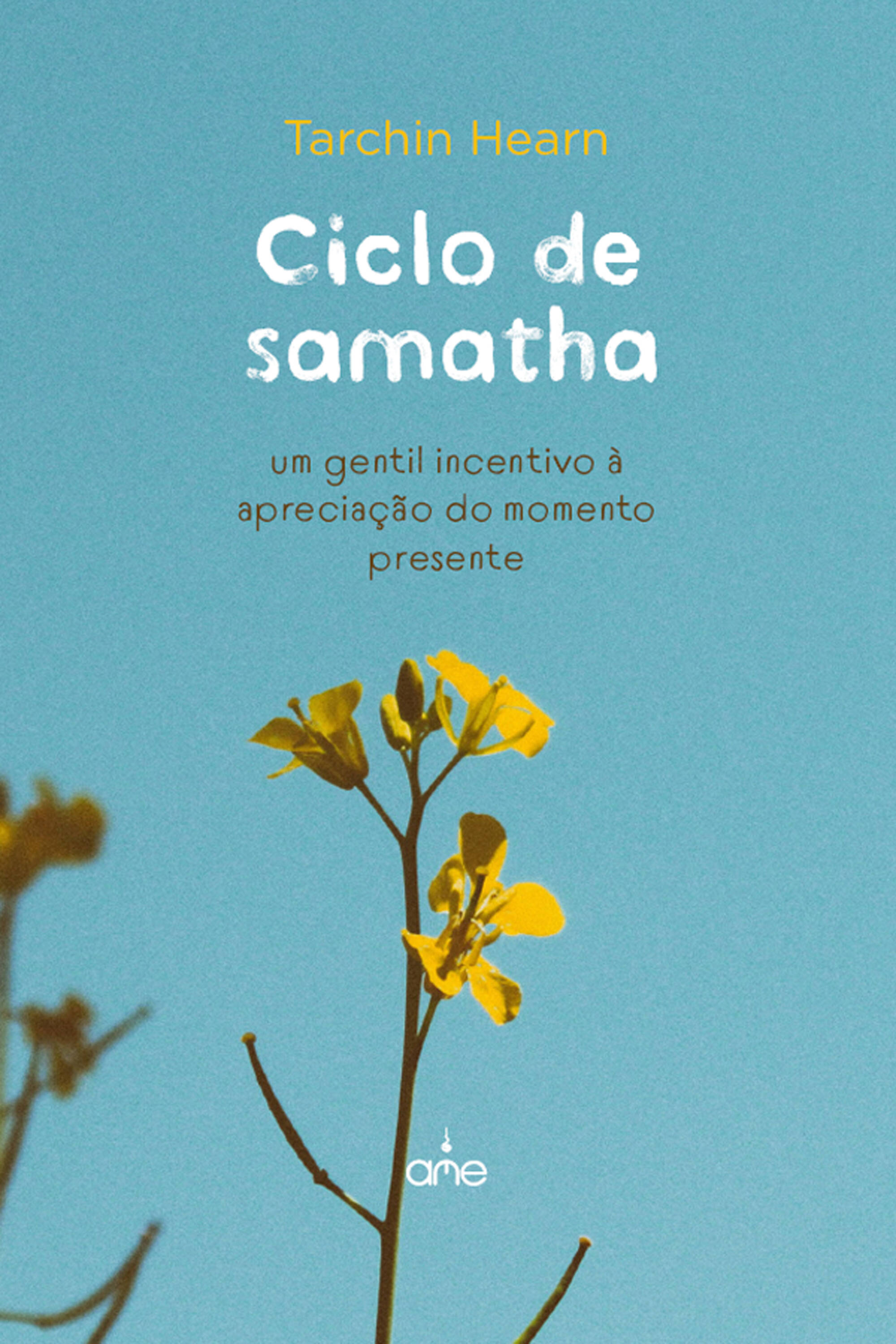 Ciclo de samatha