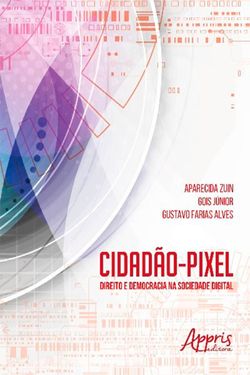 Cidadão-Pixel: Direito e Democracia na Sociedade Digital