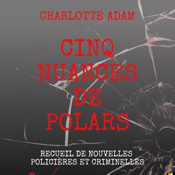 Cinq nuances de polars